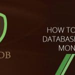 How to Execute Database Query in MongoDB